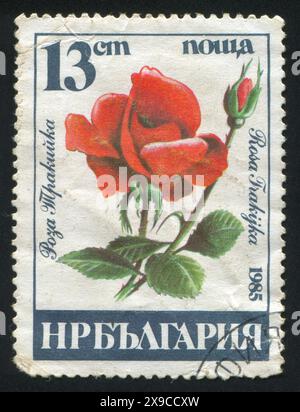BULGARIE - VERS 1985 : timbre imprimé par la Bulgarie, montrant Rose, vers 1985 Banque D'Images