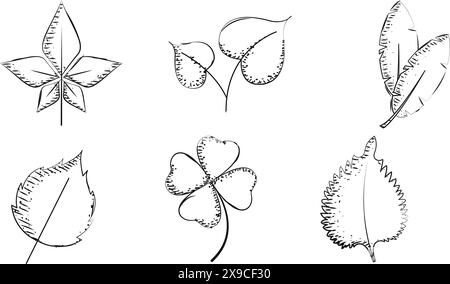 Ensemble d'icônes d'esquisse de feuilles vecteur Illustration de Vecteur