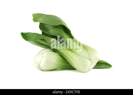 Brassica rapa chinensis, appelé bok choy, pak choi ou pok choi isolé sur fond blanc Banque D'Images