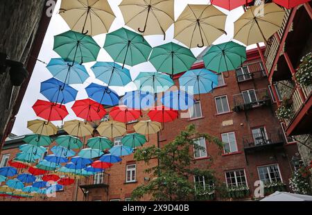 Marcher sous parapluies - Rue du Cul-de-sac, Québec, Canada Banque D'Images
