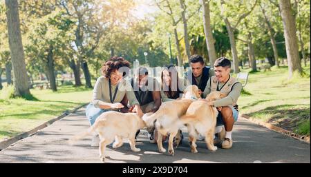 Parc, amis et personnes avec des chiens dans la nature pour marcher, jouer et s'entraîner ensemble à l'extérieur. Bénévole, parc animalier et heureux hommes et femmes avec Banque D'Images