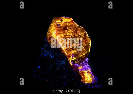 Zircon sous ultraviolet à ondes courtes. Spécimen des monts Haramosh, Gilgit-Baltistan, Pakistan. photographie isolée sur fond noir. dét. macro Banque D'Images