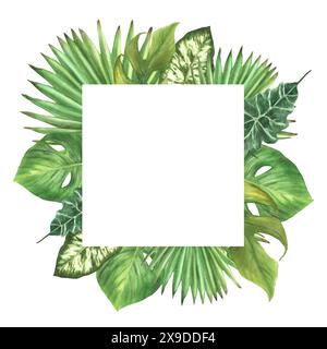 Cadre carré de feuilles vertes tropicales, plante d'origine exotique, palmier Monstera, crampon. Variété de types de feuilles. Clipart de jungle botanique pour carte. Aquarelle Banque D'Images