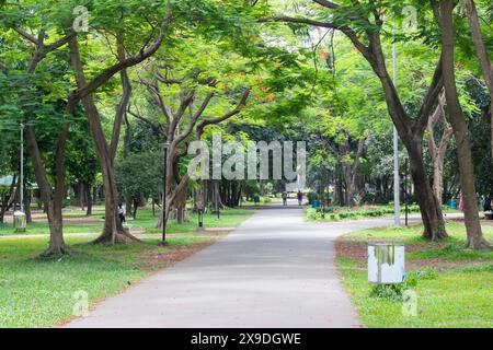 Dhaka, Dhaka, Bangladesh. 31 mai 2024. La vie dans le parc de Dacca devient de plus en plus un répit vital au milieu de l'urbanisation rapide de la ville, offrant des espaces verts dont ses résidents ont tant besoin. Malgré l'empiétement des immeubles de grande hauteur et le développement des infrastructures, Ramna Park reste un endroit populaire pour les loisirs et la socialisation. Cependant, le défi de maintenir ces oasis vertes persiste alors que l'expansion urbaine continue de mettre à rude épreuve les ressources limitées de la ville. (Crédit image : © Joy Saha/ZUMA Press Wire) USAGE ÉDITORIAL SEULEMENT! Non destiné à UN USAGE commercial ! Banque D'Images