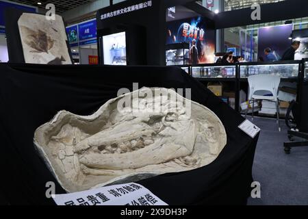 La 2e exposition internationale de pierres précieuses minérales et fossiles de Chine (Nanjing) ouvre ses portes dans la ville de Nanjing, dans la province du Jiangsu de l'est de la Chine, du 29 au 30 mai 2024. Banque D'Images