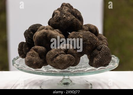 Gros morceaux de truffe noire sur un plateau en verre. Banque D'Images