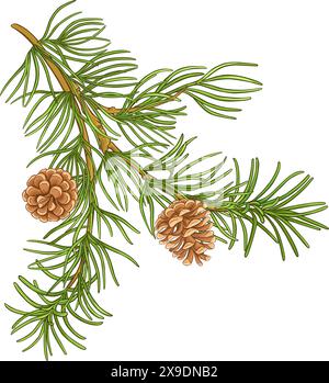 PIN Branch illustration détaillée colorée Illustration de Vecteur