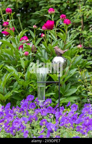 un pluviomètre avec figure d'oiseau dans le jardin de printemps avec cranesbill violet et fleurs de pivoine Banque D'Images