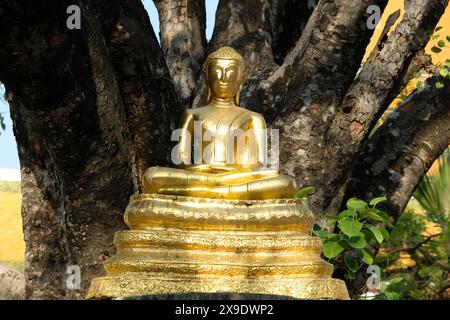 Bangkok Thaïlande Wat Suthat Thepwararam - statue de bouddha Banque D'Images