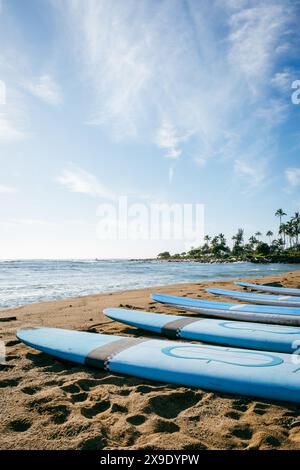 Une rangée de planches de surf bleues alignées dans le sable sur une plage vide Banque D'Images