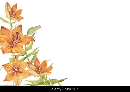Lys orange illustration de l'aquarelle. Ensemble d'éléments végétaux. Bouquet dessiné à la main de lis orange. Banque D'Images