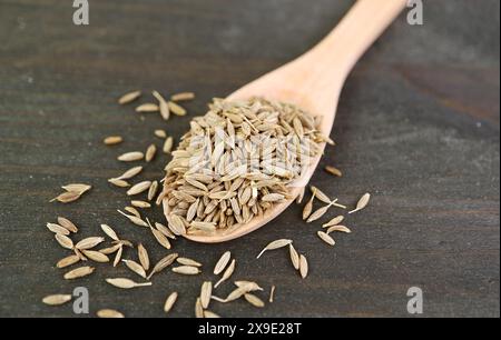 Gros plan de graines de cumin séchées sur cuillère en bois avec quelques-uns dispersés sur la table Banque D'Images