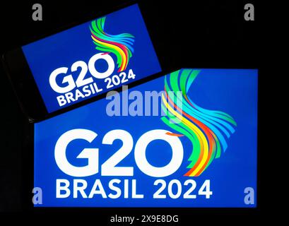 Ukraine - mai 31. 2024 : dans cette illustration photo, un logo du sommet du G20 Rio de Janeiro de 2024 vu affiché sur un smartphone. Un sommet prévu pour prendre Banque D'Images