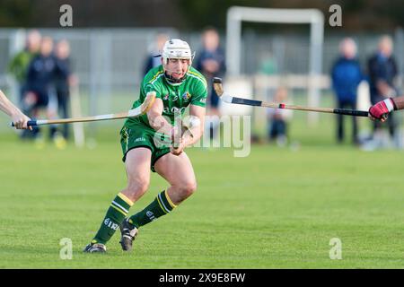 Écosse v Irlande shinty hurling International 1st test joué au Bught, Inverness en 2014. Banque D'Images