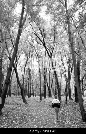 Une femme de 65-70 ans marchant sur un sentier à Oubache Trails Park dans le comté de Knox, Indiana, États-Unis. Banque D'Images