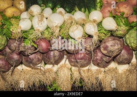 Assortiment de betteraves violettes avec des légumes verts attachés aux oignons blancs et aux pommes de terre rougeâtres fraîchement disposées après récolte. Les légumes sont frais an Banque D'Images