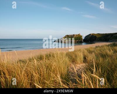 Broad Haven South Beach et paysage côtier de dunes de sable d'herbe marram sur le domaine Stackpole, Pembrokeshire Wales UK Banque D'Images