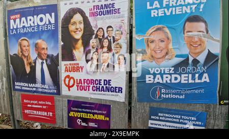 Campagne pour les élections de 2024 au Parlement européen, Lyon, France Banque D'Images