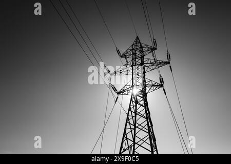 Image en noir et blanc avec un pôle électrique haute tension. Banque D'Images