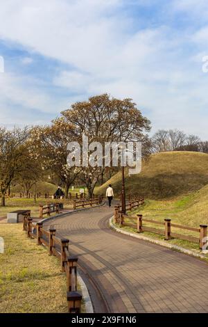 Complexe de tombes de Daereungwon (site du patrimoine mondial de l'UNESCO), Gyeongju, Corée du Sud Banque D'Images