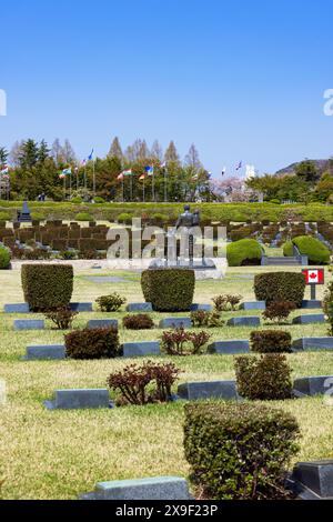 Cimetière commémoratif des Nations Unies, Busan, Corée du Sud Banque D'Images