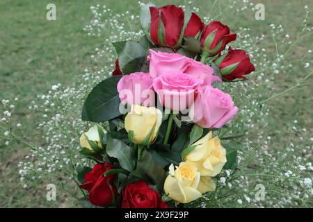 Bouquet de fleurs de rose fraîche pour les cadeaux. Bouquet bouquet de fleurs de roses rouges, jaunes, rose clair avec des feuilles vertes et des fleurs de remplissage blanches Banque D'Images