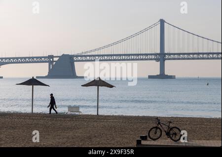 Homme marchant sur la plage de Gwangalli avec le pont de Gwangan en arrière-plan, Busan, Corée du Sud Banque D'Images