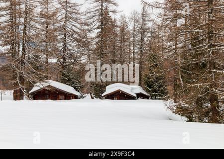 petit chalet en bois immergé dans les bois couverts de neige Banque D'Images