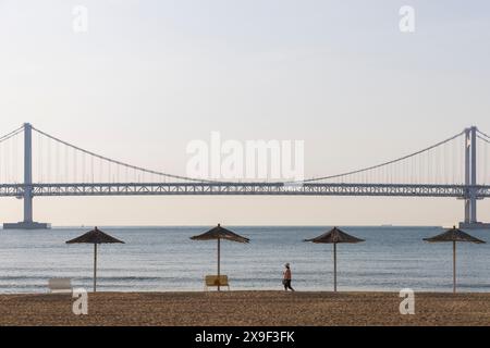 Femme marchant sur la plage de Gwangalli avec le pont de Gwangan en arrière-plan, Busan, Corée du Sud Banque D'Images