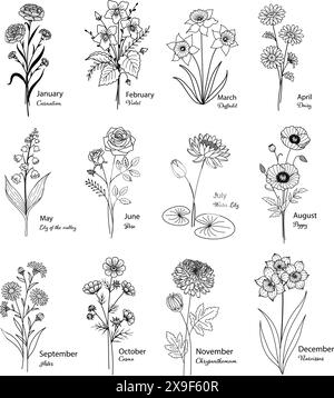 12 fleurs du mois de naissance islées. Illustration de Vecteur