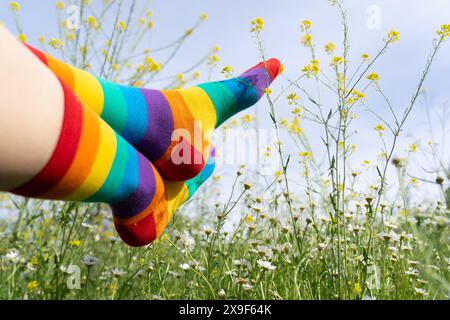 Pieds avec des chaussettes arc-en-ciel drapeau LGBT dans un champ de fleurs Banque D'Images