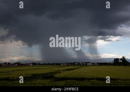 Tornade sur les champs cultivés, paysage plat Banque D'Images