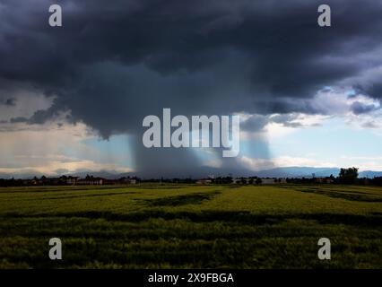 Tornade sur les champs cultivés, paysage plat Banque D'Images