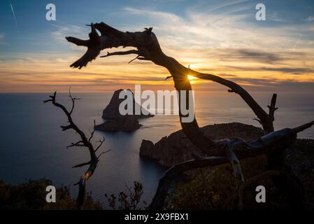 Es Vedra île au coucher du soleil de Sant Josep de sa Talaia, Ibiza, Îles Baléares, Espagne Banque D'Images