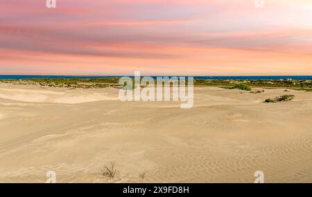 Coucher de soleil pastel sur les dunes de sable blanc, Lancelin, Australie occidentale, Australie Banque D'Images