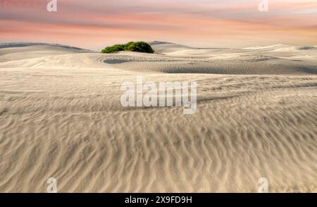 Coucher de soleil pastel sur les dunes de sable blanc, Lancelin, Australie occidentale, Australie Banque D'Images