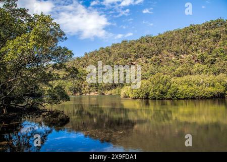 Paysage verdoyant de front de mer, parc national de Ku-ring-gai Chase près de Sydney, Nouvelle-Galles du Sud, Australie Banque D'Images