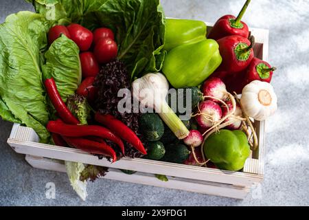 Vue aérienne d'une caisse en bois remplie de laitue fraîche, poivrons, piment, tomates, radis, concombre et ail Banque D'Images