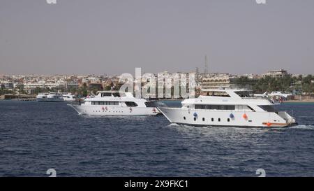 Les bateaux de plongée se dirigent vers le sud depuis Hurghada pour emmener les touristes et les plongeurs explorer les récifs coralliens de la mer Rouge. Banque D'Images