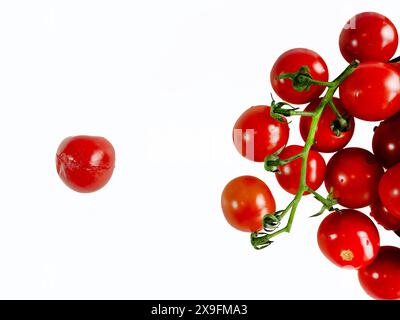 Tomates cerises rouges fraîches avec fond blanc, une pourriture, légume, nourriture végétalienne, matière première, papier peint, concept d'entreprise alimentaire biologique Banque D'Images