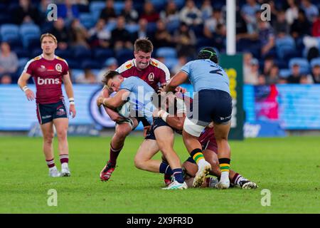 Sydney, Australie. 31 mai 2024. Jack Bowen des Waratahs est attaqué lors du match Super Rugby Pacific 2024 Rd15 entre les Waratahs de NSW et les Reds du QLD à l'Allianz Stadium le 31 mai 2024 à Sydney, Australie crédit : IOIO IMAGES/Alamy Live News Banque D'Images