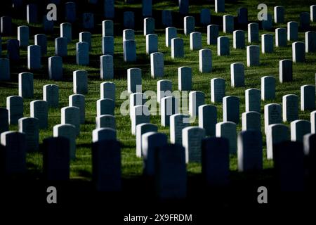 Washington DC, États-Unis. 31 mai 2024. Le cimetière national d'Arlington, avec un hommage aux soldats qui ont perdu la vie pendant la seconde Guerre mondiale, lors d'une visite d'une journée du premier ministre belge de Croo à Washington DC, États-Unis, vendredi 31 mai 2024. BELGA PHOTO JASPER JACOBS crédit : Belga News Agency/Alamy Live News Banque D'Images