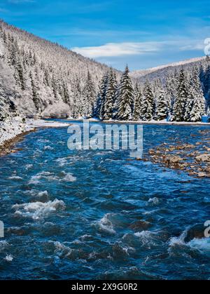 Rivière de montagne tereblya en hiver dans le parc national synevir Banque D'Images