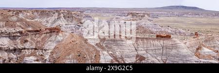 De grands troncs d'arbres pétrifiés échoués au sommet d'une colline bleue mesa alomg le sentier Blue Mesa dans le parc national Petrified Forest, Arizona, USA sur 17 A. Banque D'Images