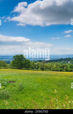 Vue de la campagne anglaise à Clee Hill, Shropshire, Royaume-Uni regardant vers le pays de Galles en orientation portrait Banque D'Images