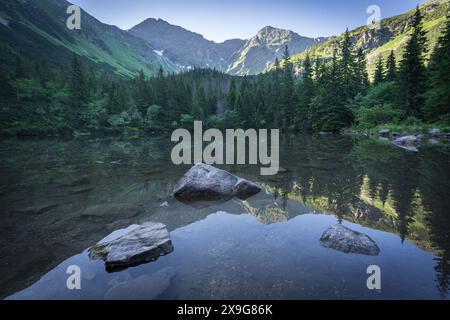 Lac de montagne limpide reflétant les montagnes environnantes et la forêt, Slovaquie, Europe Banque D'Images