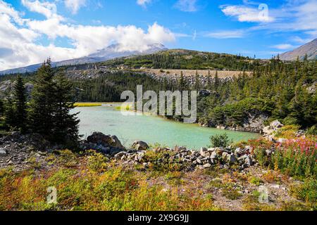 Rivière dans le lieu historique national de la piste Chilkoot en Colombie-Britannique, au Canada, vu du chemin de fer White Pass and Yukon route partant de Ska Banque D'Images