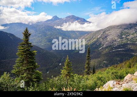 Montagnes du lieu historique national de la piste Chilkoot en Colombie-Britannique, au Canada, vues depuis le chemin de fer White Pass and Yukon route Banque D'Images