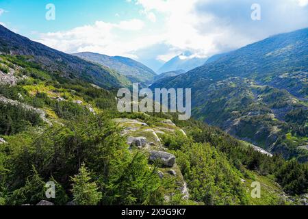 Montagnes du lieu historique national de la piste Chilkoot en Colombie-Britannique, au Canada, vues depuis le chemin de fer White Pass and Yukon route Banque D'Images