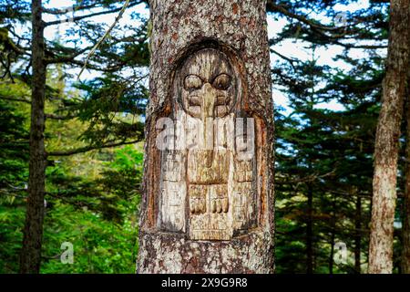 Figure amérindienne d'aigle sculptée dans le tronc d'un pin dans une forêt du mont Roberts au-dessus de Juneau, la capitale de l'Alaska, États-Unis Banque D'Images